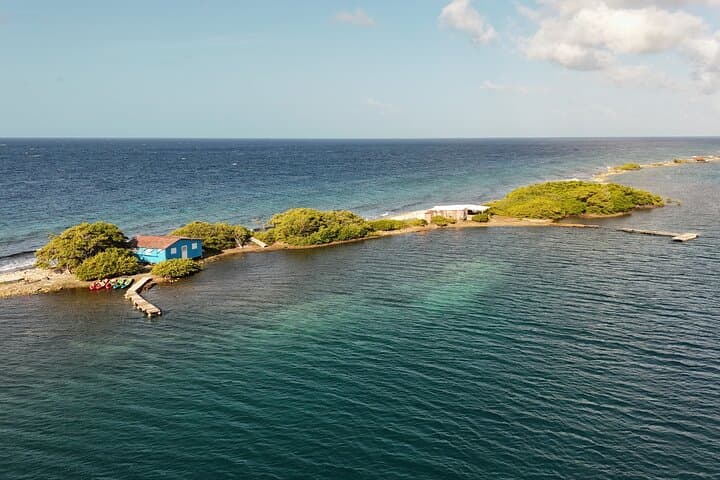 Sea Glass Island Aruba Kayak Tour — Kayak to Sea Glass & Turtle Encounters photo 4