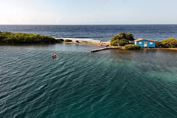 Sea Glass Island Aruba Kayak Tour — Kayak to Sea Glass & Turtle Encounters photo 6
