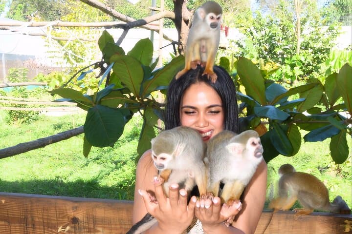 Puerto Plata Monkey Encounter and City Tour: Amber, Cable Car & San Felipe Fortress photo 3