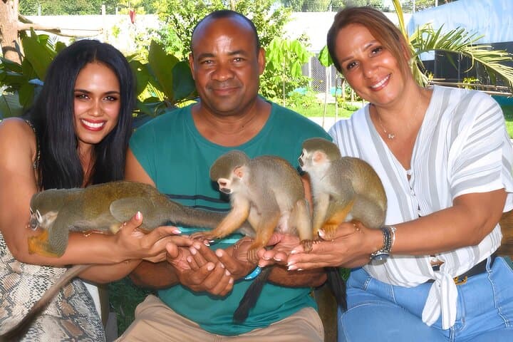 Puerto Plata Monkey Encounter and City Tour: Amber, Cable Car & San Felipe Fortress
