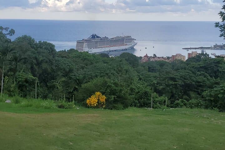 Ocho Rios Shopping & Coastal Overlook — Half-Day from Falmouth photo 5