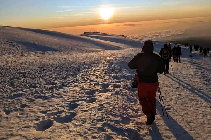 Lemosho Route Kilimanjaro 8-Day Summit Adventure: Ultimate Guide to Uhuru Peak photo 2