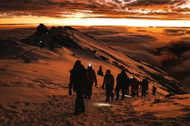 Lemosho Route Kilimanjaro 8-Day Summit Adventure: Ultimate Guide to Uhuru Peak photo 4