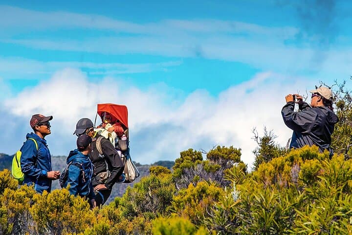 10-Day Private El Salvador & Honduras Adventure — Volcano Hikes, Mayan Ruins & Roatan Diving photo 5
