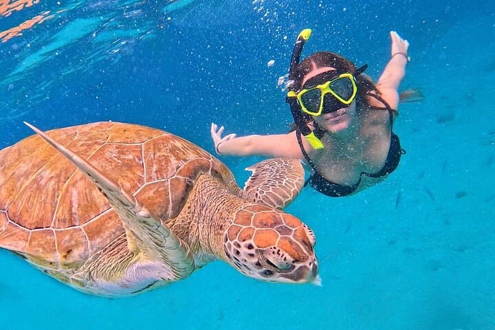 Snorkel with Sea Turtles & Düden Waterfall Boat Trip from Antalya