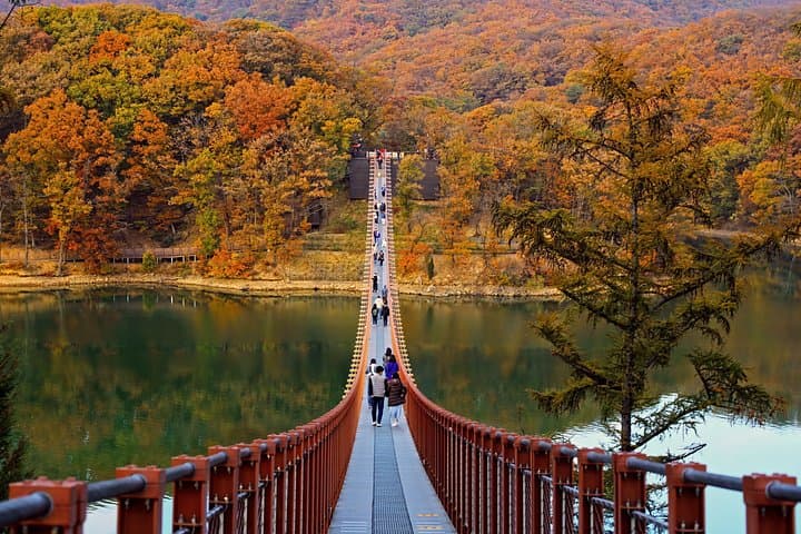 DMZ Tour from Seoul: 3rd Tunnel, Dora Observatory & Majang Lake Suspension Bridge photo 1
