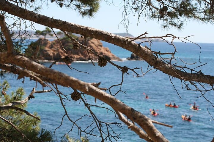 Kayak and Snorkel the Costa Brava: Guided Tour from Sant Feliu photo 5