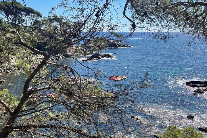 Kayak and Snorkel the Costa Brava: Guided Tour from Sant Feliu photo 6