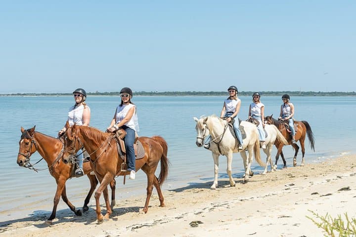 Horseback Ride on Rosario Beach with Portuguese Gastronomic Tasting photo 5