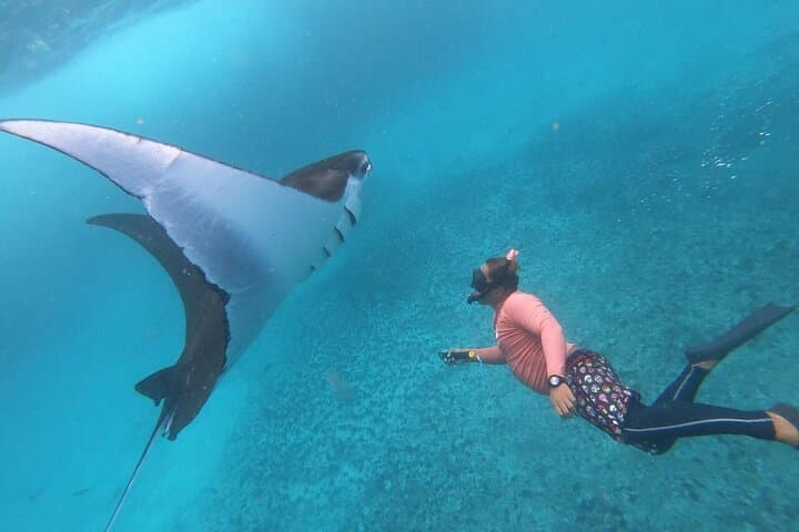 Nusa Penida West Snorkel with Manta Rays — Day Trip from Sanur