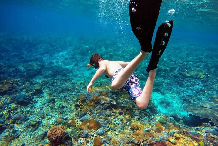 Snorkeling with Manta Rays in Nusa Penida: Manta Bay Guide photo 3