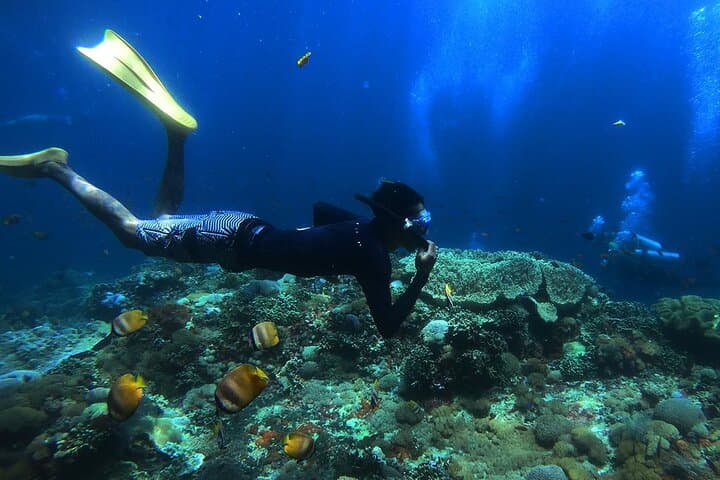 Snorkeling with Manta Rays in Nusa Penida: Manta Bay Guide photo 2