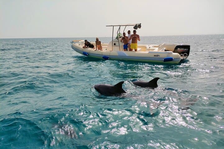 Hurghada Dolphin Watching & Orange Bay Snorkel: Private Speedboat Adventure