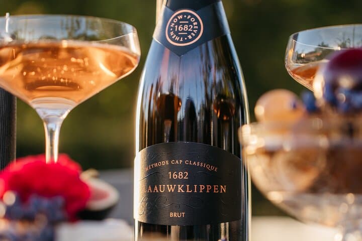 Stellenbosch Vine Hopper Southern Route: A Practical Guide to Hop-On Hop-Off Wine Tasting photo 6