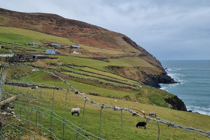 Slea Head Drive: Full-Day Private Chauffeur Tour from Dingle