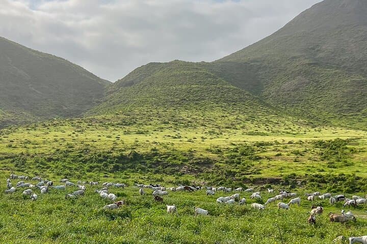 East Dhofar Khareef Waterfalls & Jebel Samhan Mountain Safari photo 5