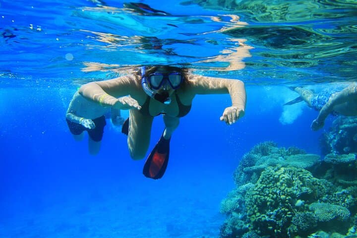 Sataya Reefs Dolphin Snorkel Cruise from Marsa Alam with Lunch photo 2