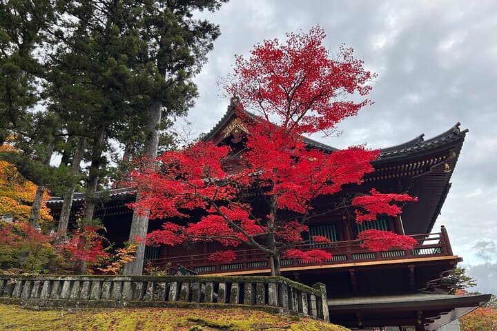 Full-Day Nikko Guided Tour: Toshogu, Kegon Falls & Lake Chuzenji photo 5