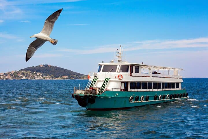 Bosphorus Sightseeing Cruise — 1-Hour Istanbul Cruise with Audio Guide