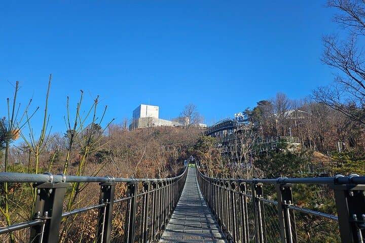 Starbucks DMZ View: Aegibong Observatory Tour from Seoul photo 5