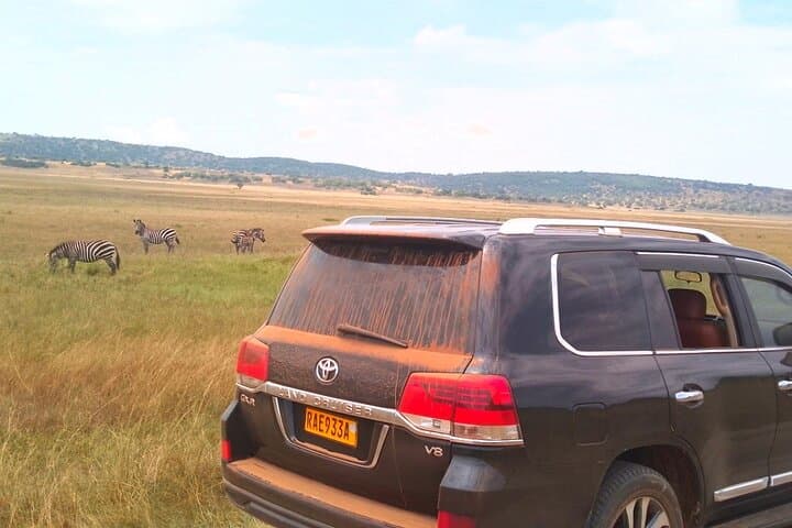 Premium Land Cruiser V8 Safari in Akagera National Park photo 3