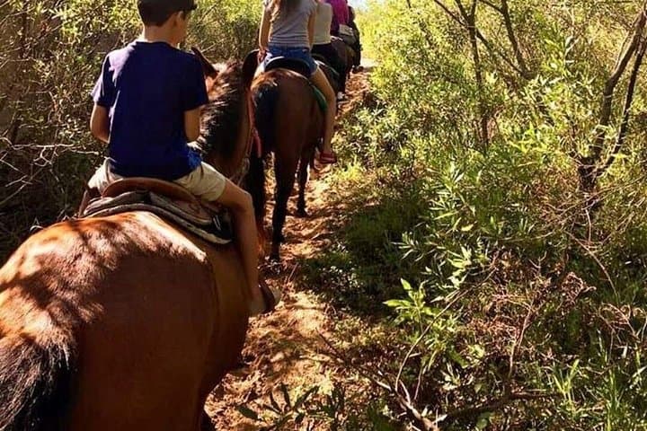 Quilombo Visit and Horseback Ride to Waterfall and Sunset Beach near Rio de Janeiro photo 4