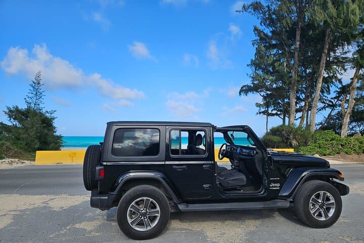 Exploring Oahu’s Hidden Gems: A Private Jeep Adventure Off the Beaten Path photo 6