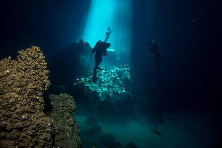 Scuba Diving in Chania, Crete — Elephant Cave & SS Minnewaska Wreck photo 5