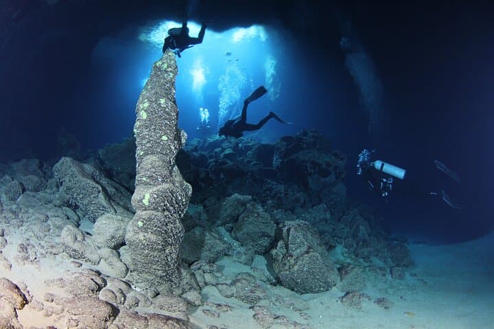 Scuba Diving in Chania, Crete — Elephant Cave & SS Minnewaska Wreck photo 4
