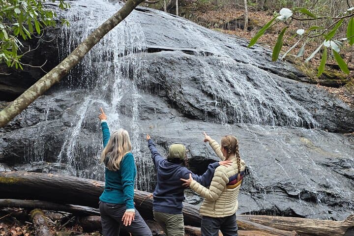 Half-Day Waterfall Hiking Tour from Asheville to Pisgah National Forest photo 3