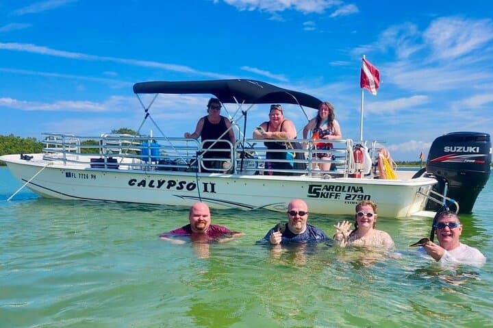 Shell Key Island Adventure: Dolphin Cruises, Shelling & Beach Exploration Near St. Petersburg