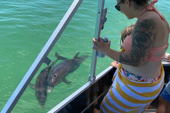 Shell Key Island Adventure: Dolphin Cruises, Shelling & Beach Exploration Near St. Petersburg photo 5