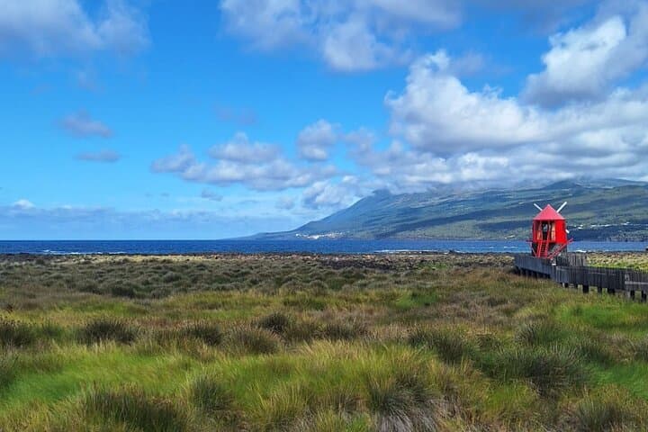 Pico Island Highlights: Private Full-Day Tour with Optional Wine Tasting photo 3