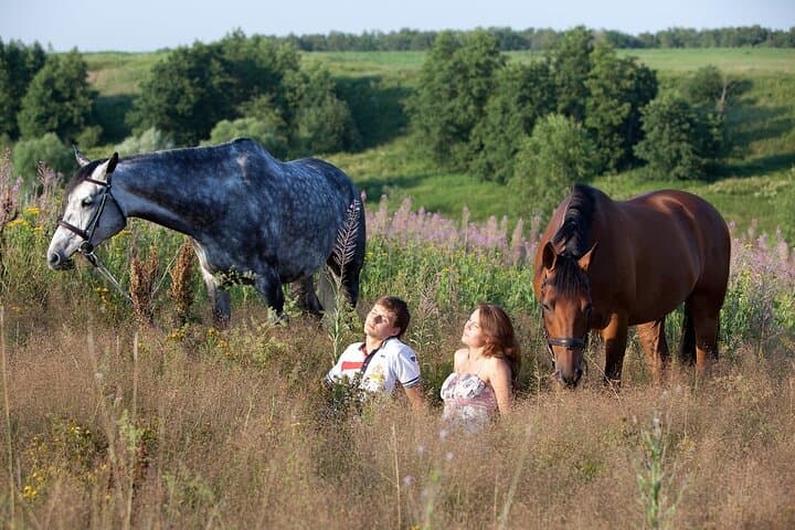 Alanya Horseback Riding: Coastal Trails and Taurus Hills in 3 Hours