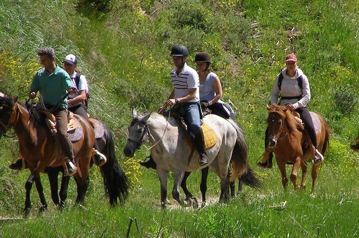 Alanya Horseback Riding: Coastal Trails and Taurus Hills in 3 Hours photo 3