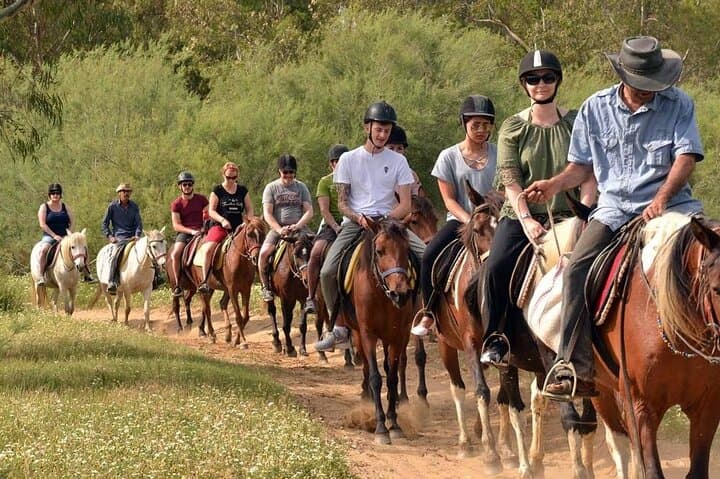 Alanya Horseback Riding: Coastal Trails and Taurus Hills in 3 Hours photo 4