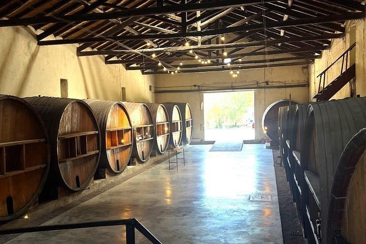 Mendoza Wine, Empanadas & Olive Oil: Half-Day Tasting Tour from Mendoza photo 3