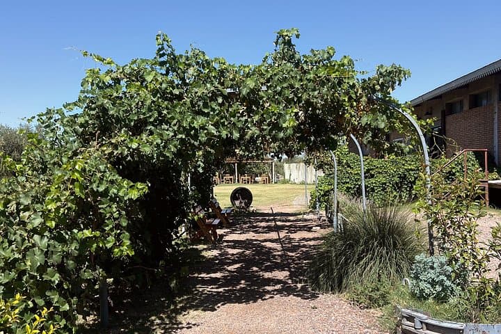 Mendoza Wine, Empanadas & Olive Oil: Half-Day Tasting Tour from Mendoza photo 4