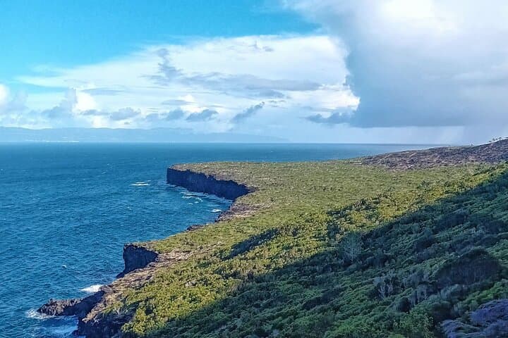 Pico Island Lakes, Craters & Volcanic Curiosities — Private Geology Tour photo 3