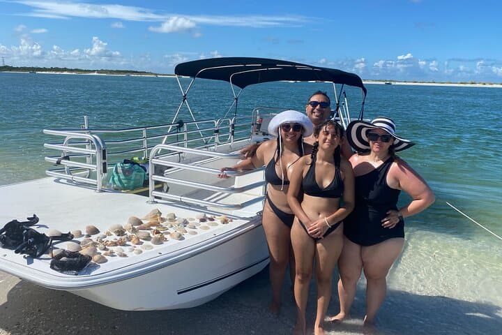 St. Petersburg Shell Key Island Adventure: 4-Hour Private Dolphin & Junonia Shell Tour photo 2