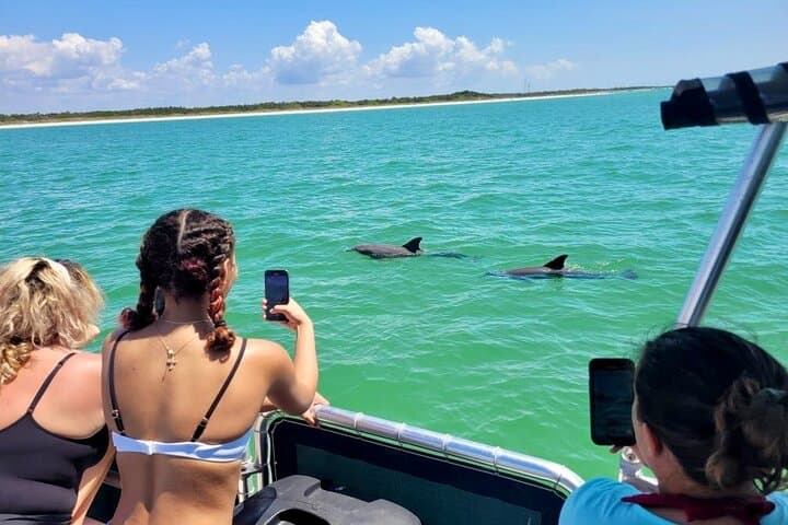 St. Petersburg Shell Key Island Adventure: 4-Hour Private Dolphin & Junonia Shell Tour photo 3