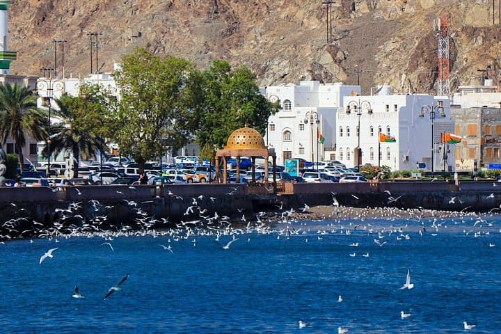 Muscat City Highlights and Wadi Shab Adventure with Bimmah Sinkhole photo 3