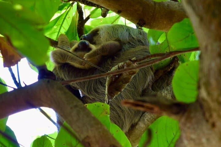 Trails and Views at Arenal Volcano Ecological Park — La Fortuna Adventure photo 3