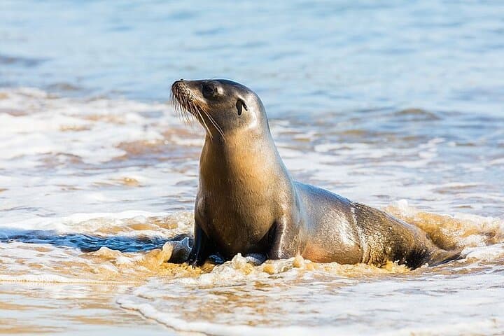 Galapagos Enchanted Islands — 5-Day Private Wildlife & Beach Adventure photo 3