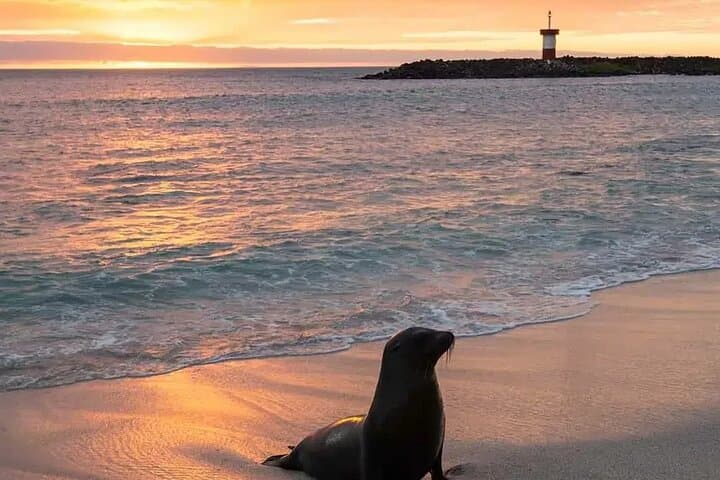 Galapagos Enchanted Islands — 5-Day Private Wildlife & Beach Adventure