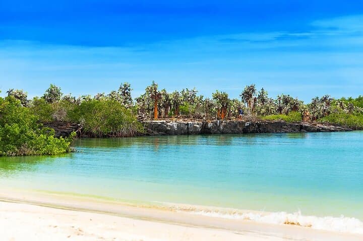 Galapagos Enchanted Islands — 5-Day Private Wildlife & Beach Adventure photo 5