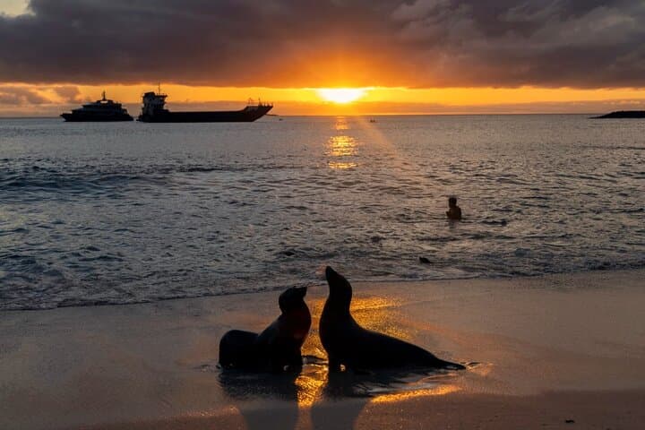 Galapagos Enchanted Islands — 5-Day Private Wildlife & Beach Adventure photo 2