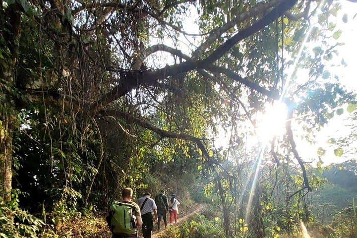 Sierra Nevada Finca Adventure: 6-Day Jungle Trek from Santa Marta photo 2