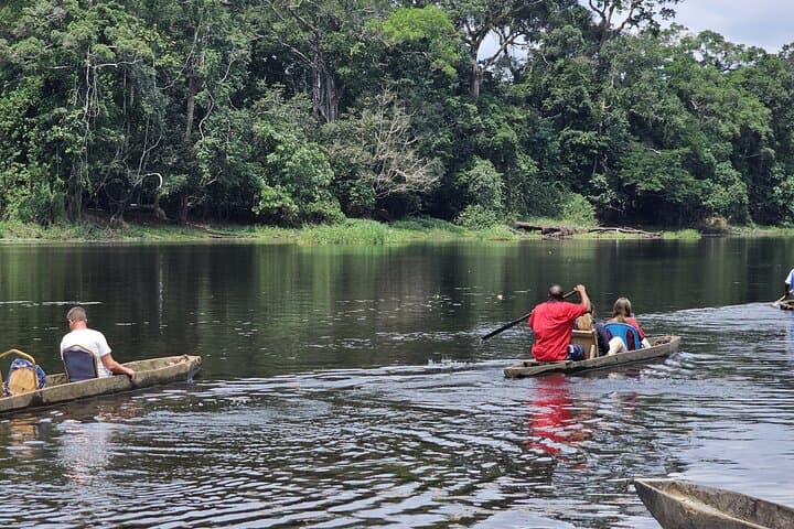 Ebogo Nyong River Canoe & Méfou Primate Park Day Trip from Yaoundé photo 5