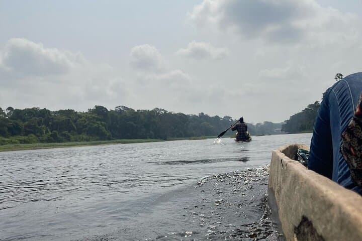 Ebogo Nyong River Canoe & Méfou Primate Park Day Trip from Yaoundé photo 6